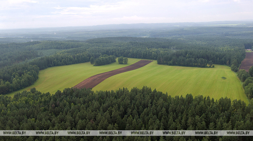 Фото из архива