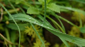 Фото из архива