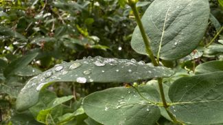 Фото из архива