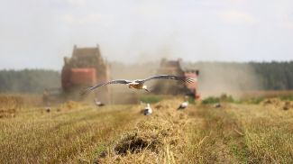 Фото из архива