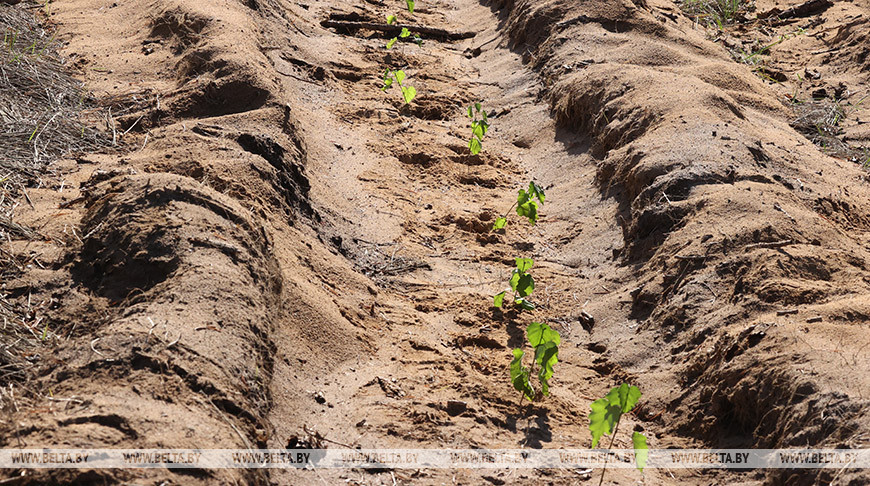 Фото из архива