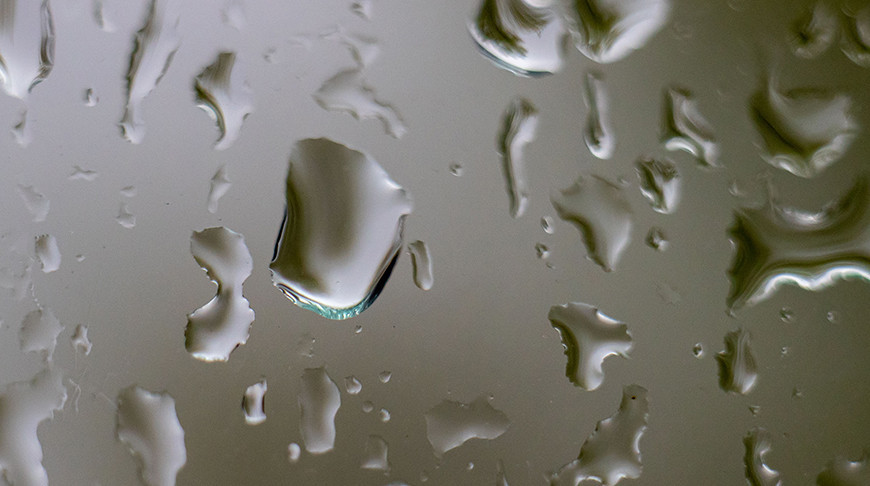 Фото из архива