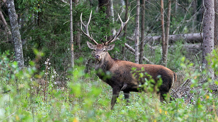Фото из архива