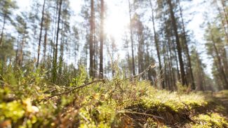 Фото из архива