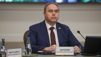 Владимир Караник