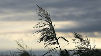 Фото из архива