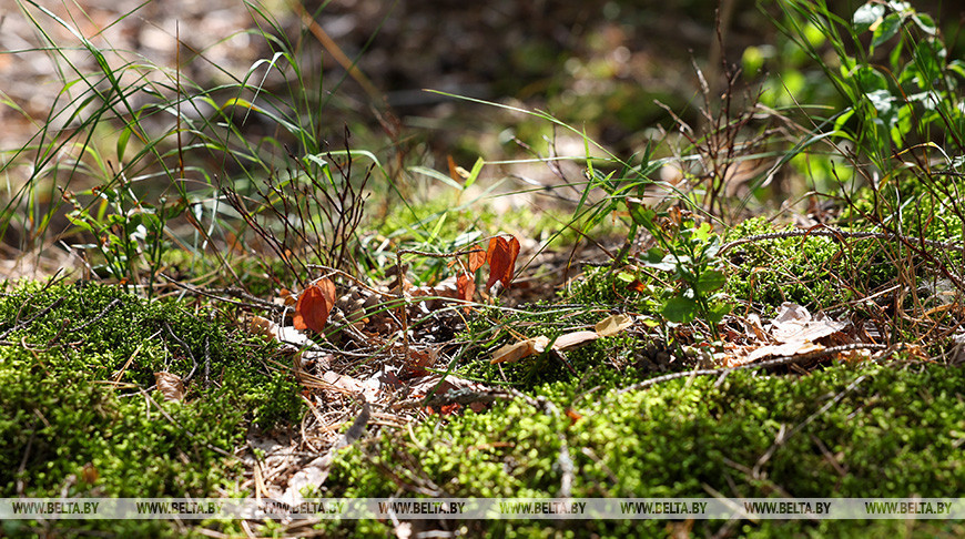 Фото из архива