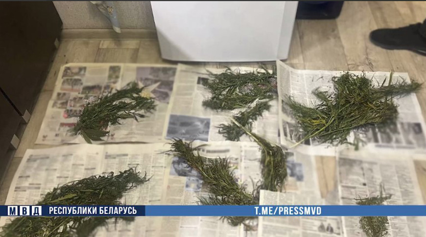 Скриншот видео МВД