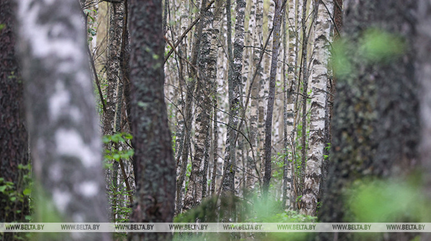 Фото из архива