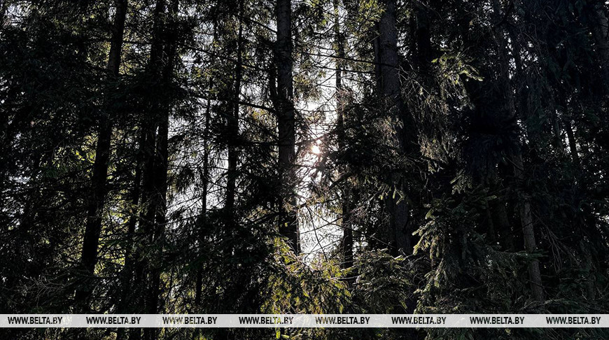 Фото из архива