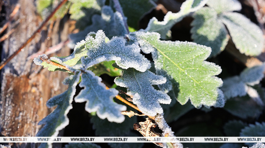 Фото из архива