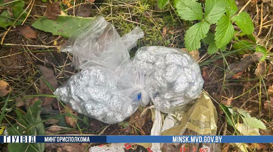 Скриншот видео ГУВД Мингорисполкома