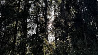 Фото из архива