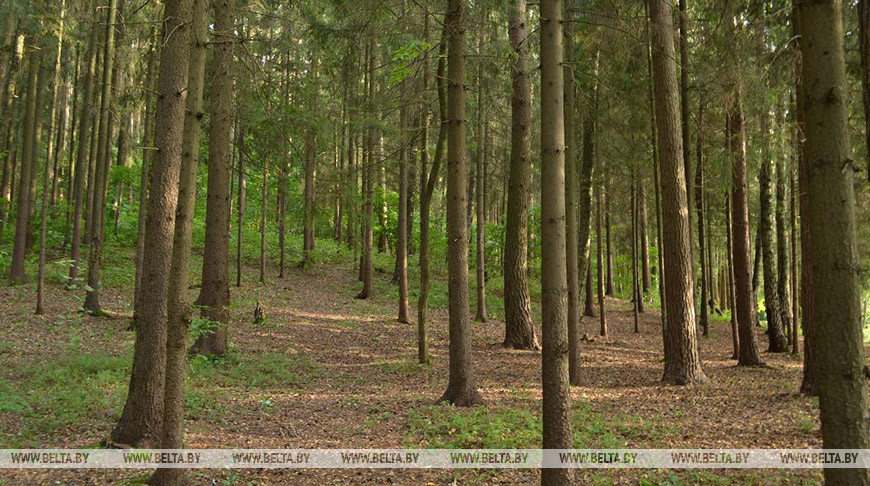 Фото из архива