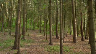 Фото из архива