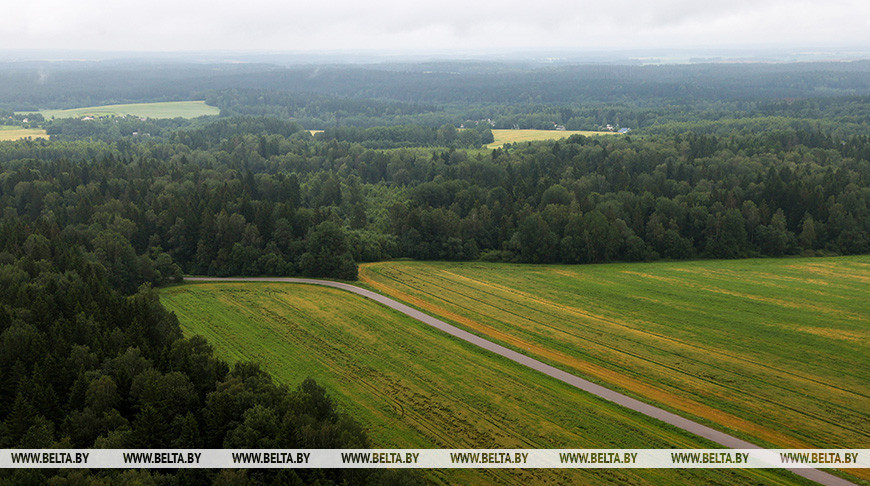 Фото из архива