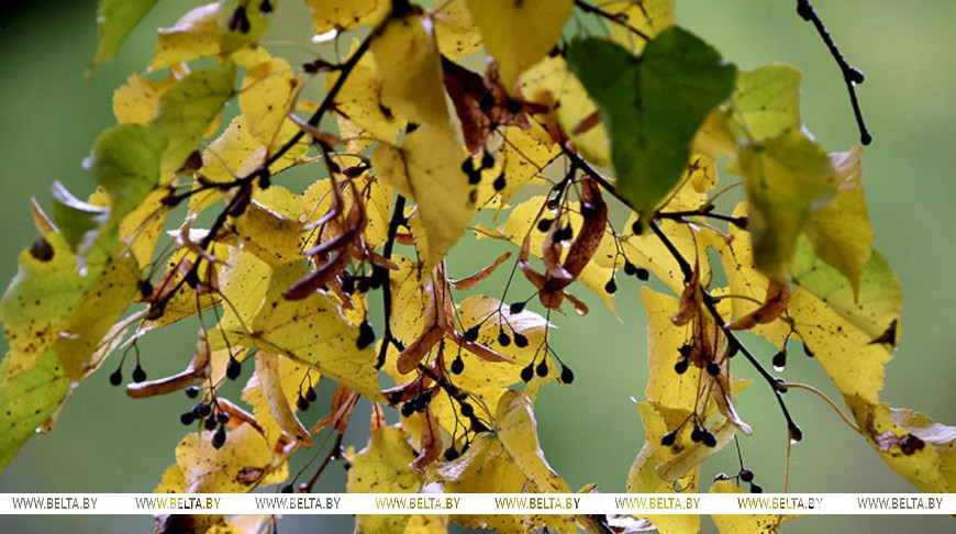 Фото из архива