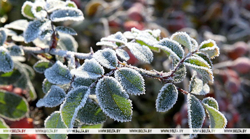 Фото из архива