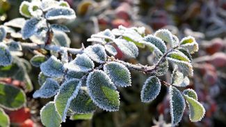 Фото из архива