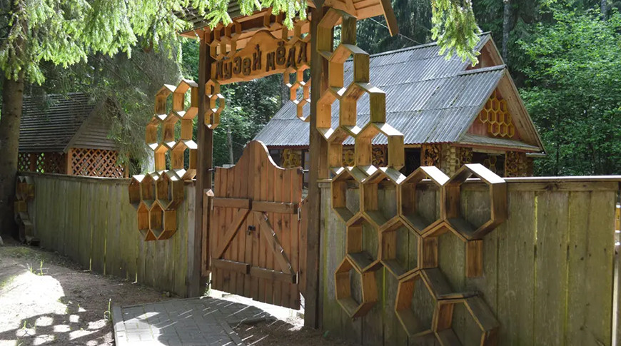 Фото berezinsky.by