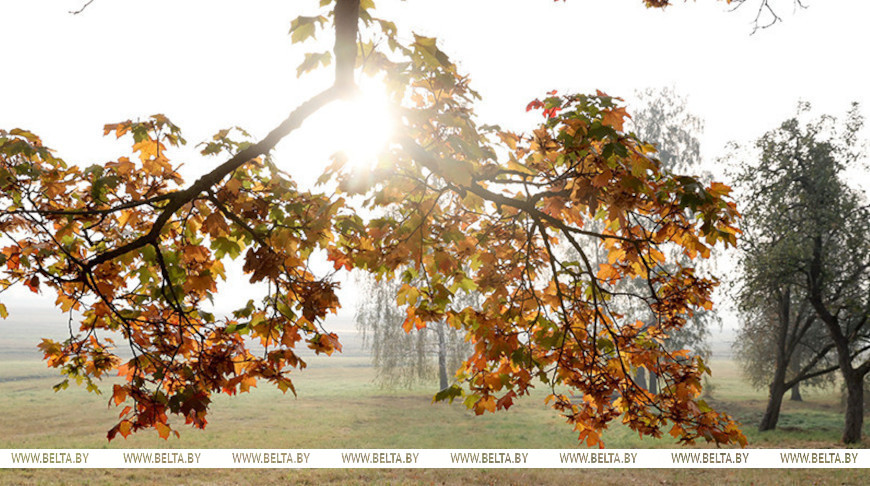 Фото из архива