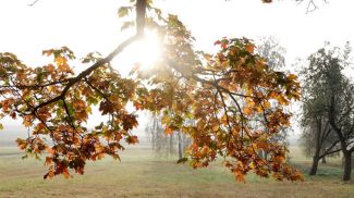 Фото из архива