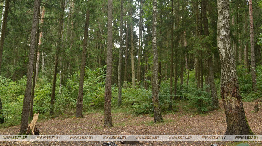 Фото из архива