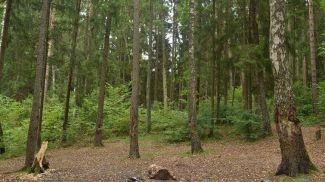 Фото из архива