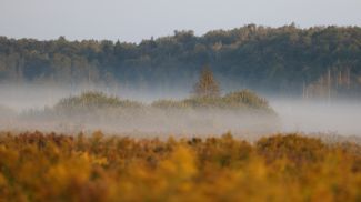 Фото из архива