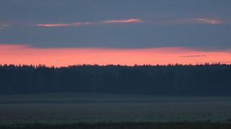 Фото из архива