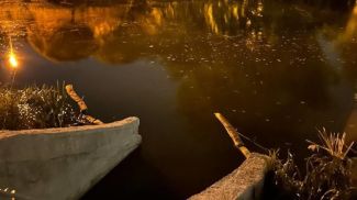 Фото Министерства природных ресурсов и охраны окружающей среды