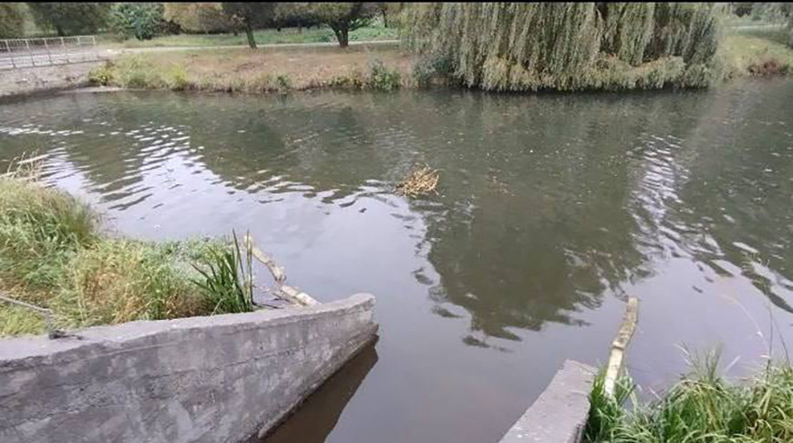 Фото Минприроды