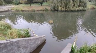 Фото Минприроды