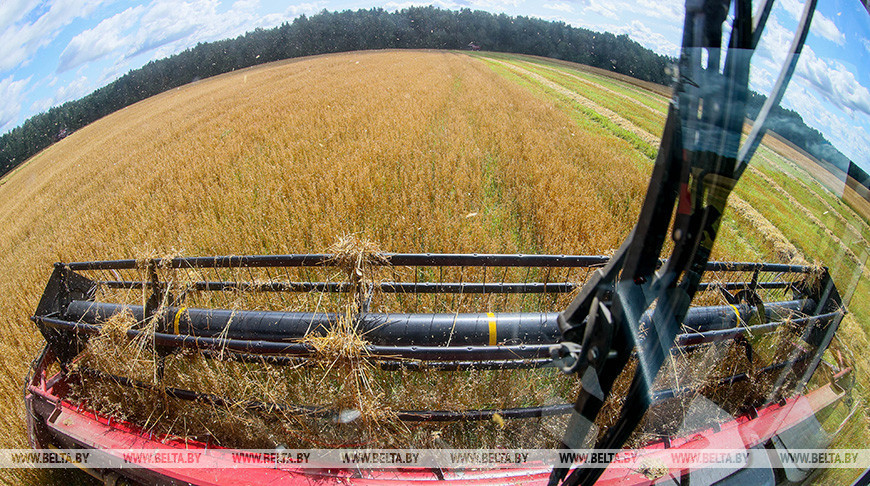 Фото из архива