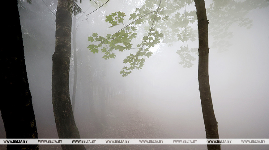 Фото из архива