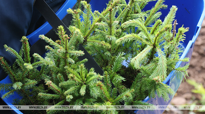 Фото из архива