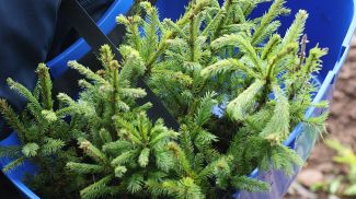 Фото из архива