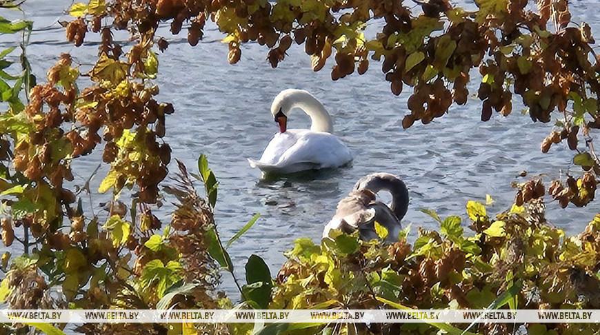 Фото из архива