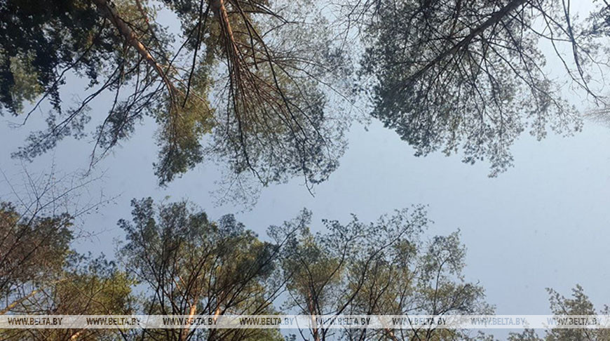 Фото из архива