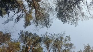 Фото из архива