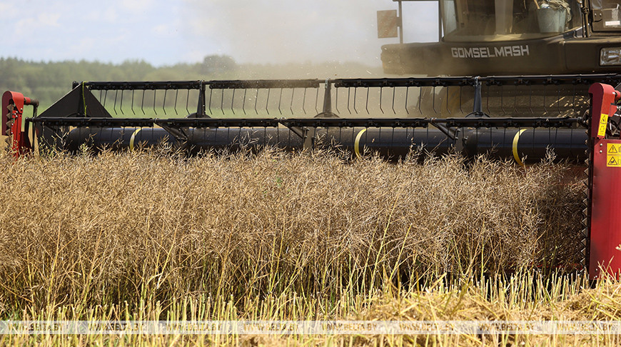 Фото из архива