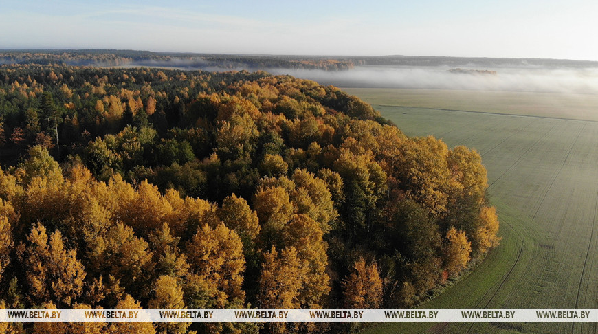 Фото из архива