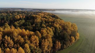 Фото из архива