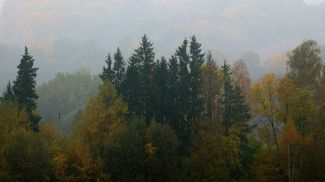 Фото из архива