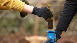 Фото из архива