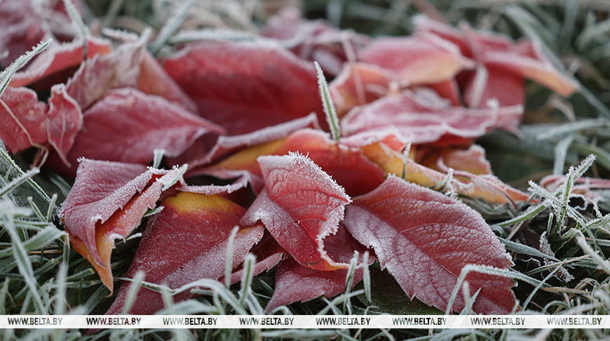 Фото из архива