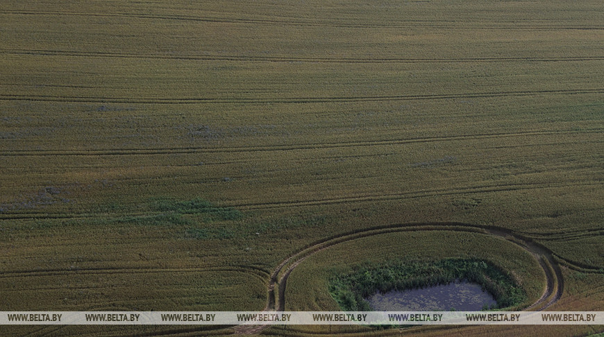 Фото из архива