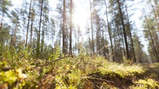 Фото из архива