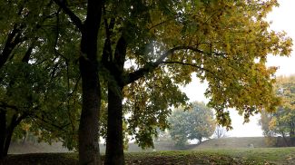 Фото из архива