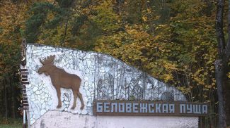 Фото из архива